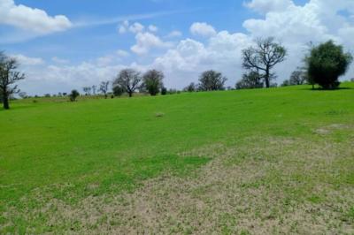 Terrain de 1,97 hectare vers Diourbel