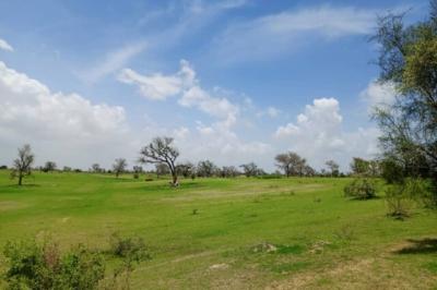 Terrain de 1,97 hectare vers Diourbel