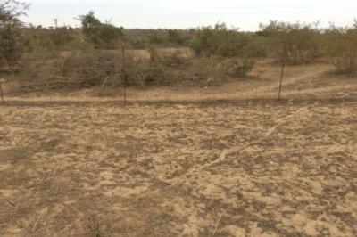 Terrain de 10 hectares vers Darou Khoudoss