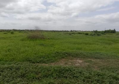Terrain de 10 hectares vers Keur Moussa
