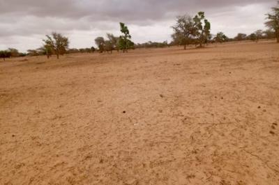 Terrain de 10 hectares vers Keur Samba Kane
