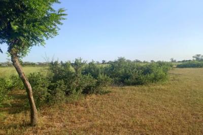 Terrain de 10 hectares vers Tassette