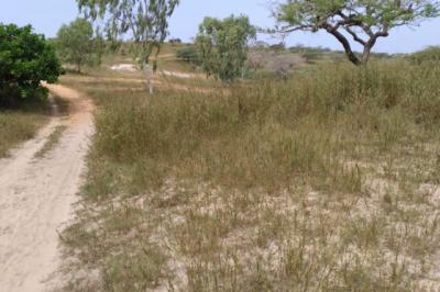 Terrain de 10,37 hectares vers Thieppe