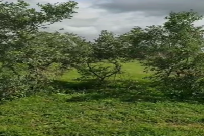 Terrain de 100 hectares vers Koul
