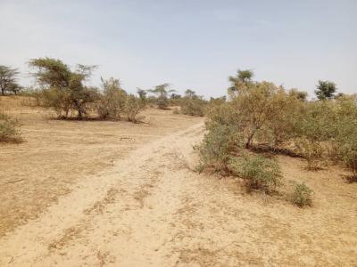 Terrain de 100 hectares vers Koul