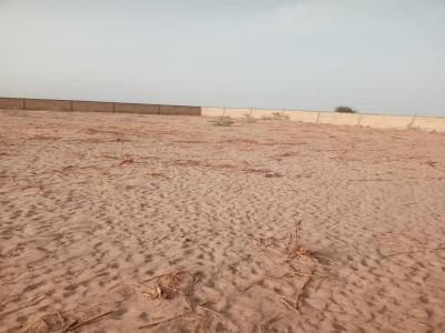 Terrain de 12 hectares vers Touba
