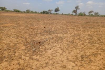 Terrain de 12,08 hectares vers Touba Toul