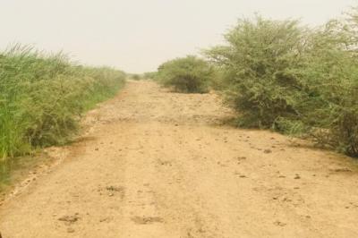 Terrain de 120 hectares vers Diama