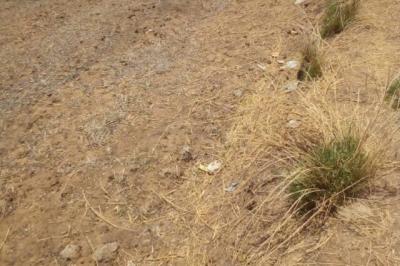 Terrain de 18 hectares vers Ronkh
