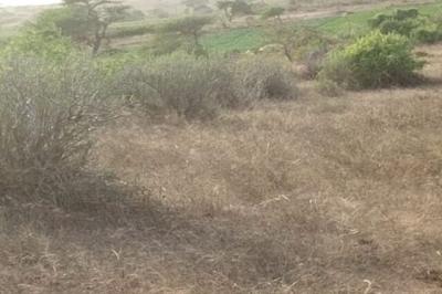 Terrain de 2 hectares vers Darou Khoudoss