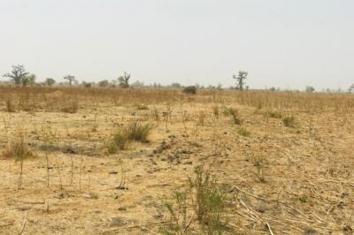 Terrain de 2 hectares vers Nguéniène