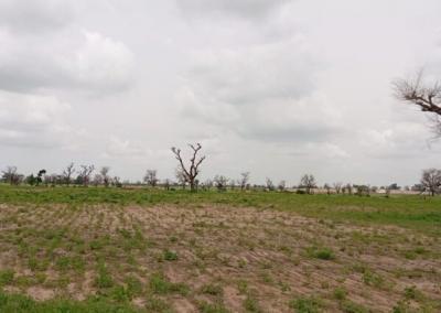 Terrain de 2 hectares vers Sandiara