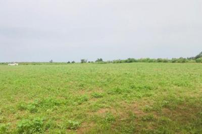 Terrain de 2 hectares vers Tassette