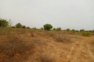Terrain de 2 hectares vers Thiénaba