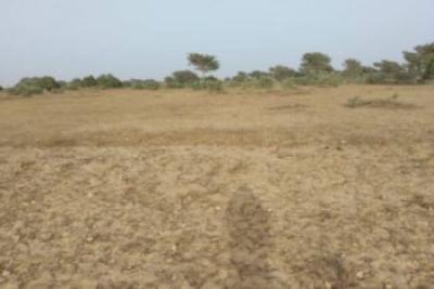 Terrain de 2 hectares vers Thiénaba