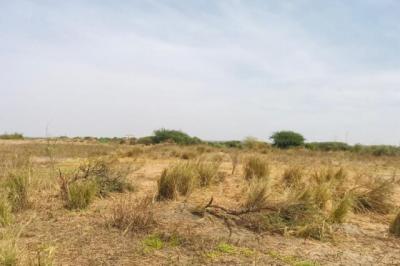 Terrain de 2 hectares vers Yenne