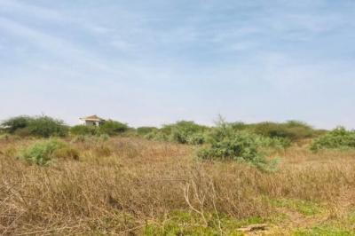 Terrain de 2 hectares vers Yenne