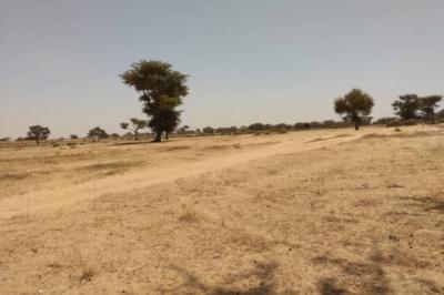 Terrain de 2,04 hectares à Tassette