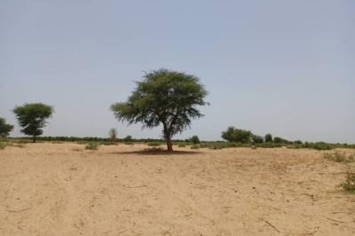 Terrain de 2,04 hectares vers Tassette