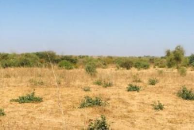 Terrain de 2,05 hectares vers Popenguine