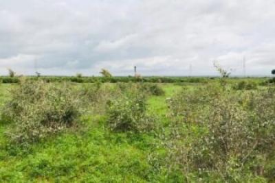 Terrain de 2,06 hectares vers Notto Gouye Diama