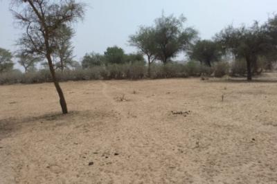 Terrain de 2,08 hectares vers Baba Garage