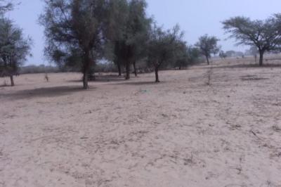 Terrain de 2,08 hectares vers Baba Garage