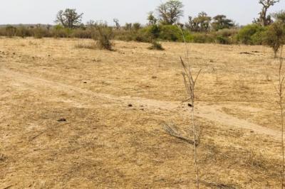 Terrain de 2,08 hectares vers Mont Rolland