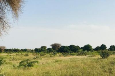 Terrain de 2,09 hectares vers Pire