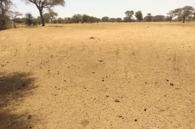 Terrain de 2,11 hectares vers Saghata