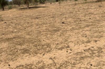 Terrain de 2,12 hectares vers Notto Diobass