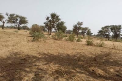 Terrain de 2,30 hectares vers Sindia
