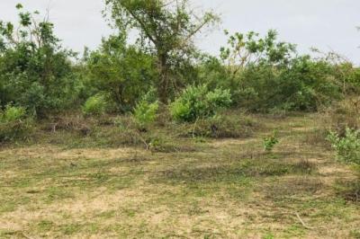 Terrain de 2,4 hectares vers Diender