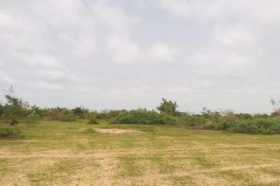 Terrain de 2,4 hectares vers Diender