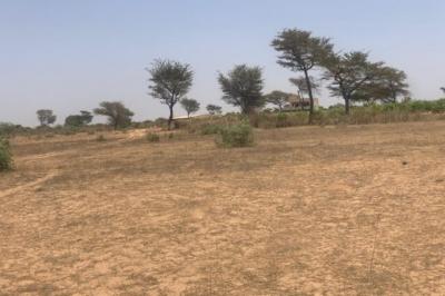 Terrain de 2,4 hectares vers Notto Diobass