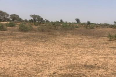 Terrain de 2,4 hectares vers Notto Diobass