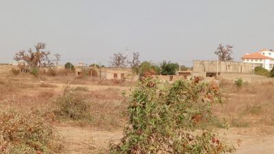 Terrains 225 mètres carrés à vendre à Saly Sé
