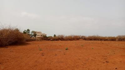 Terrains de 225 mètres carrés à vendre à Sindi