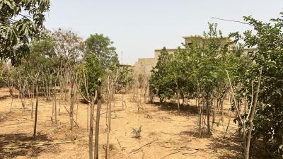 Terrains 600 mètres carrés à vendre à Saly Sé
