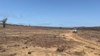 Terrains 300 mètres carrés à vendre à Ndayane 