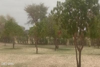 Verger de 1,5 hectare vers Koul