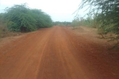 Verger de 13 hectares vers Sindia