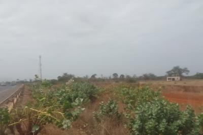 Verger de 13 hectares vers Sindia