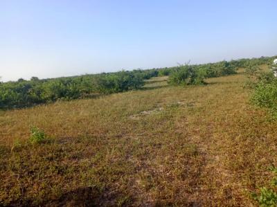 Terrain de 9 hectares vers Notto Diobass