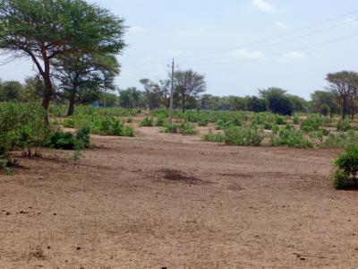Terrain de 21,05 hectares vers Thiénaba