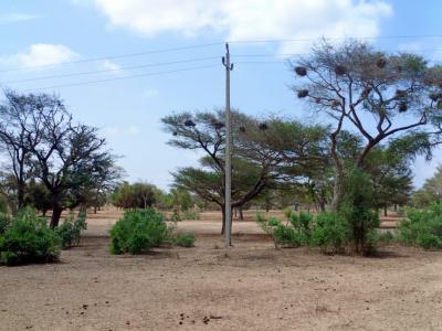 Terrain de 21,05 hectares vers Thiénaba