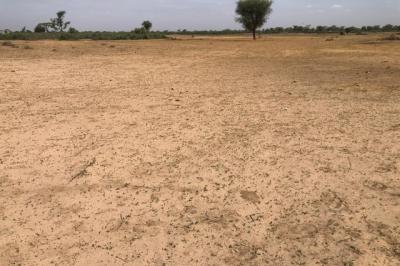 Terrain de 9 000 m² vers Tassette