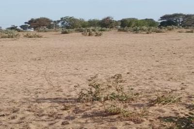 Terrain de 5 hectares vers Notto Diobass