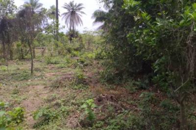 Terrain de 1 hectare vers Kafountine