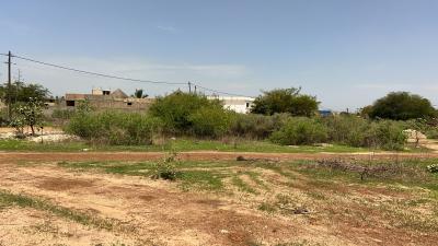 Terrain 687mètres carrés à vendre à Ndiorokh S